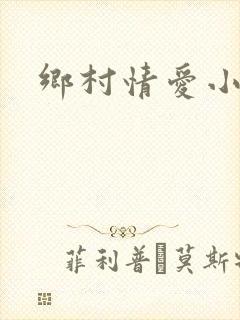 乡村情爱小说