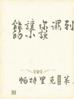 能让你湿到不行的小说