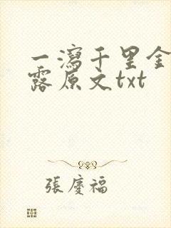 一泻千里金银花露原文txt封面