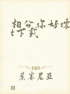 相公你好坏txt下载