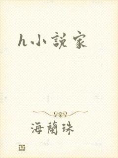 h小说家