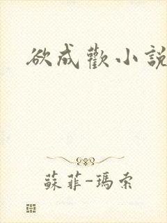 欲成欢小说封面