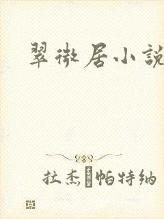 翠微居小说封面