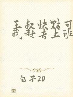 王叔快点可以吗我赶去上班