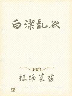 白洁乱欲