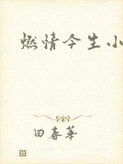 燃情今生小说