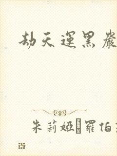 劫天运黑岩封面