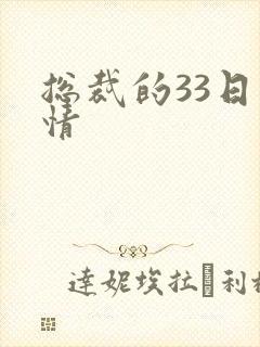 总裁的33日索情