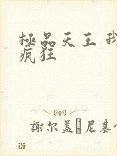 极品天王 我本疯狂封面