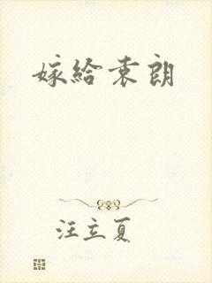嫁给袁朗