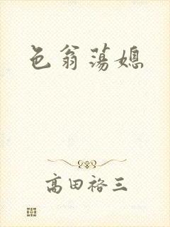 色翁荡媳封面