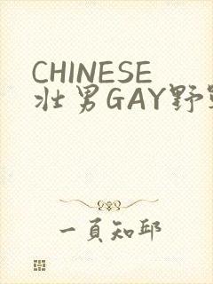 CHINESE壮男GAY野战强迫TUBE
