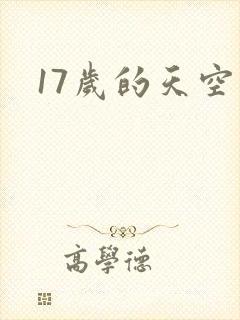 17岁的天空