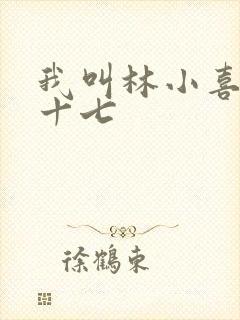 我叫林小喜今年十七封面