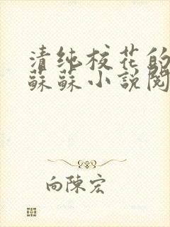 清纯校花的日常苏苏小说阅读全文封面