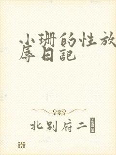 小珊的性放荡羞辱日记封面