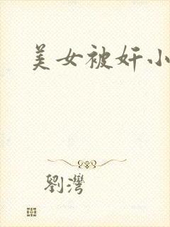 美女被奸小说封面