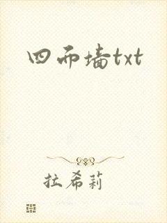 四面墙txt封面