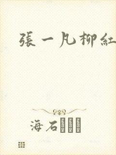 张一凡柳红