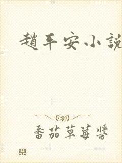 赵平安小说主角