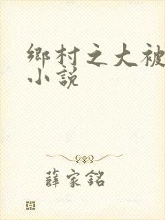 乡村之大被同眠小说