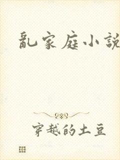 乱家庭小说