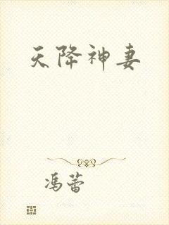 天降神妻