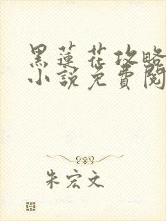 黑莲花攻略手册小说免费阅读封面