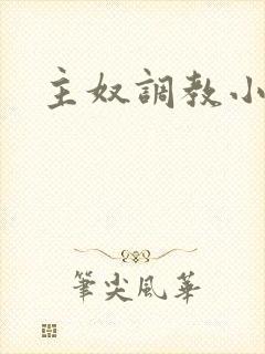 主奴调教小说封面