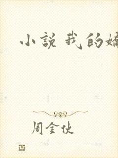 小说 我的娇妻