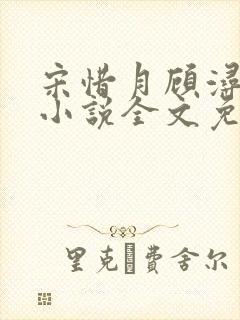 宋惜月顾浔渊的小说全文免费阅读