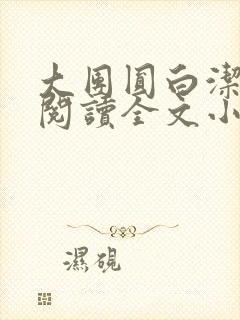 大团圆白洁免费阅读全文小说