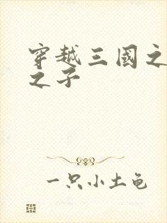 穿越三国之袁绍之子封面