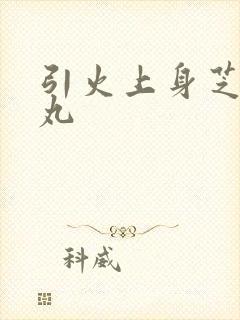 引火上身芝麻糖丸封面