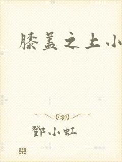膝盖之上小说