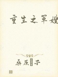重生之军嫂封面