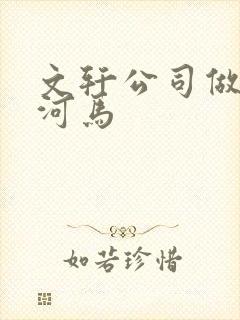 文轩公司做扩张河马封面