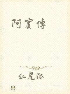 阿宾传