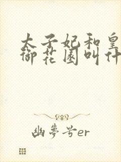 太子妃和皇帝在御花园叫什么小说