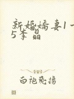 新婚娇妻1一25李晶封面