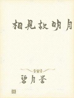 相见故明月