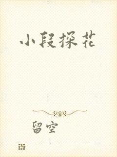 小段探花