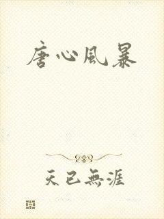 唐心风暴