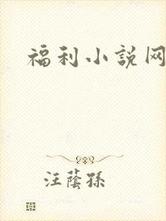 福利小说网