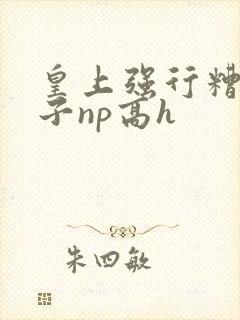皇上强行糟蹋太子np高h