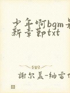 少年啊bgm最新章节txt