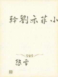 干刘亦菲小说