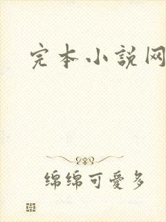 完本小说网