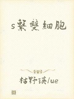 s系双细胞