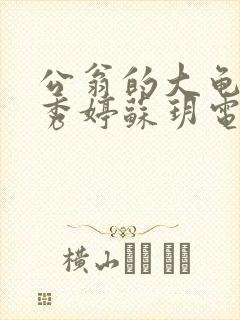 公翁的大龟挺进秀婷苏玥电影